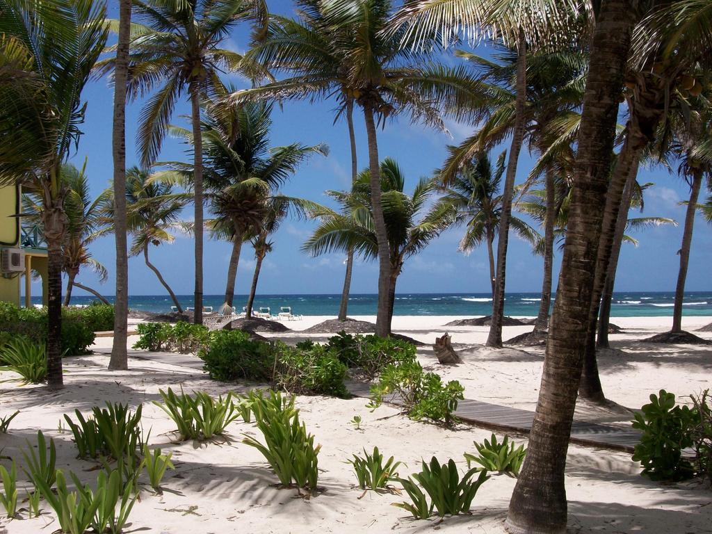 Hibiscus Beach Resort Christiansted Exterior foto