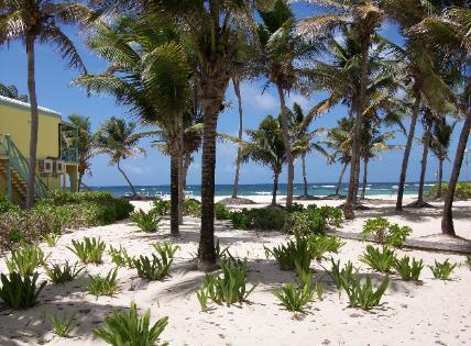 Hibiscus Beach Resort Christiansted Exterior foto